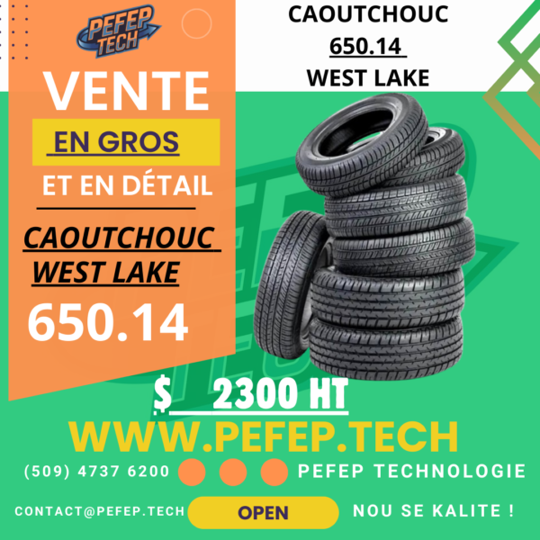 Caoutchouc Camionette : 650.14 West lake